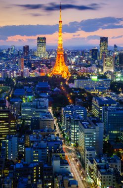 Tokyo şehri geceleri, Japonya. 