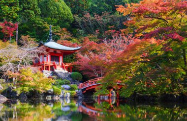 Daigoji Tapınağı Güz, Kyoto, Japonya