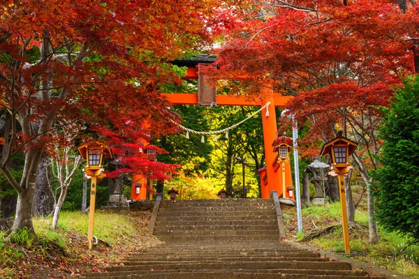 Torii gerbang ke pagoda chureito di musim gugur, Fujiyoshida, Jepang — Stok Foto