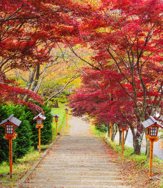 Escalera a pagoda chureito en otoño, Fujiyoshida, Japón — Foto de Stock