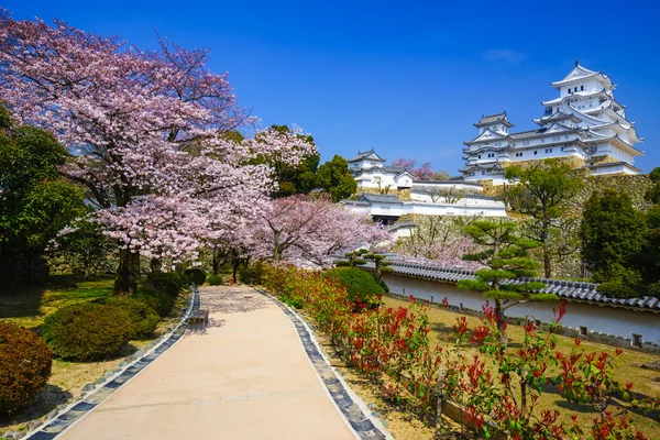 Zamek Himeji w sezon wiśniowy kwiat, Hyogo, Japonia — Zdjęcie stockowe