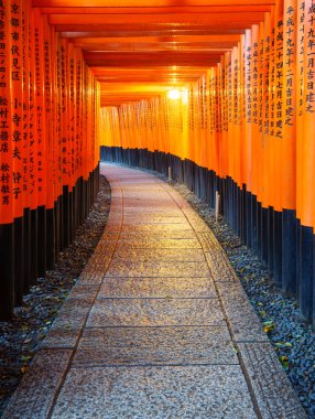 Fushimi Inari Tapınağı 'ndaki Torii kapıları, Kyoto, Japonya