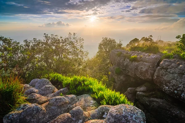 Закат на вершине горы, Национальный парк Фу Хин Ронг Кла, Тайлан — стоковое фото