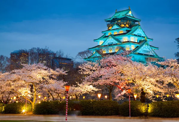 Osaka slott i körsbärsblomma säsong, Osaka, Japan Royaltyfria Stockbilder