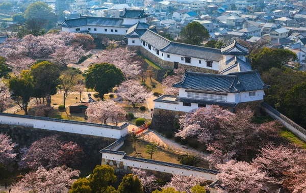 Himeji Kalesi, Hyogo, Japonya — Stok fotoğraf