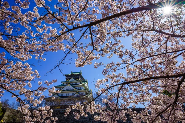 大阪城、大阪、日本 — ストック写真