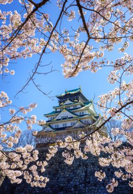 Osaka Kalesi, osaka, Japonya