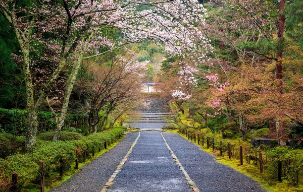 Caminho para o santuário do japão — Fotografia de Stock