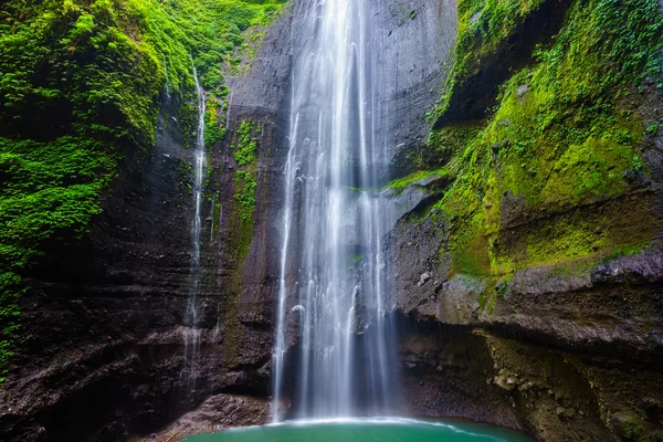 Madakaripura Wasserfall, Ostjava, Indonesien — Stockfoto