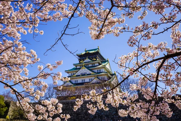 ปราสาทโอซาก้า โอซาก้า ประเทศญี่ปุ่น — ภาพถ่ายสต็อก