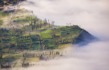 Village and Cliff at Bromo Volcano in Tengger Semeru, Java, Indo clipart