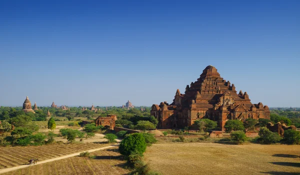 Het paard en wagen op Dhammayangyi tempel Bagan, Bagan, Myanmar — Stockfoto