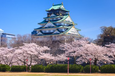 Osaka Kalesi, osaka, Japonya