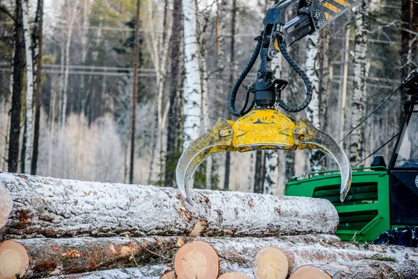 Captures a timber loader, stack of log — стоковое фото