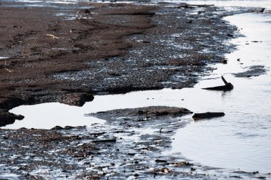 Baraj gölünün kirli shore
