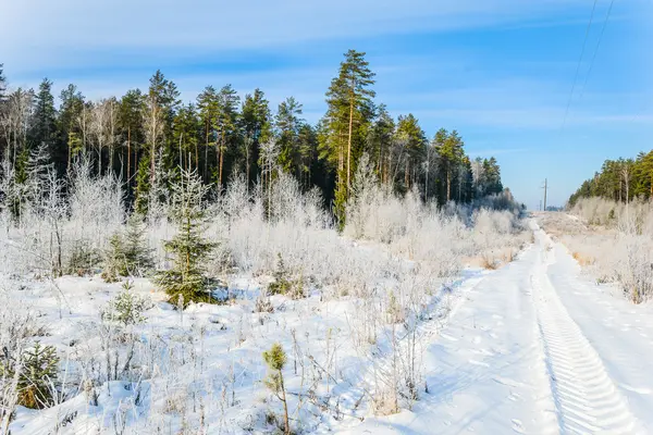 Empty snow covered road in winter landscape — Stock Photo, Image