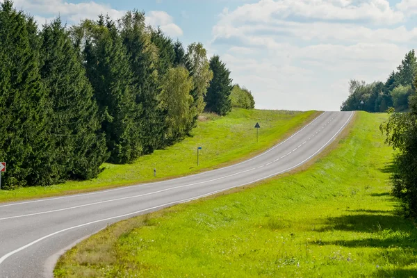 俄罗斯森林中的道路 — 图库照片