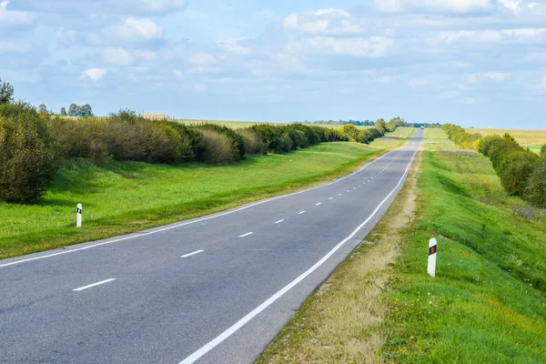 俄罗斯森林中的道路 — 图库照片