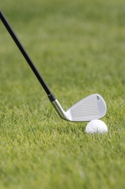 Golf topu golfçülerin elinde.