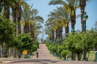 İsrail. Tel Aviv 'de. 15 Nisan 2015. Şehir sokaklarının ve şehir hayatının manzarası. 