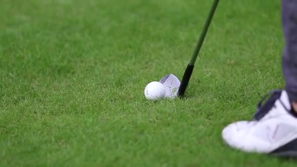 Bir golfçü yeşil zeminde golf sopasıyla vurmaya hazırlanıyordu. — Stok video