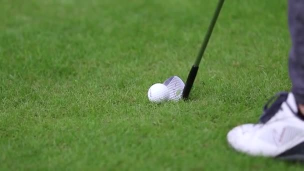 Golfista przygotowywał się do uderzenia kijem na zielonej ziemi. — Wideo stockowe