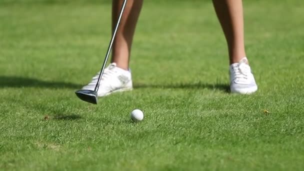 一个高尔夫球手准备用推杆在绿地上击球 — 图库视频影像