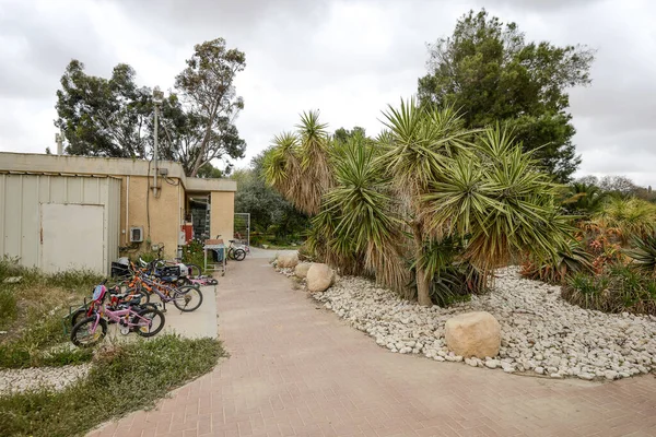 Israel. 16 de abril de 2015. Bosque en el desierto de Kibbutz. — Foto de Stock