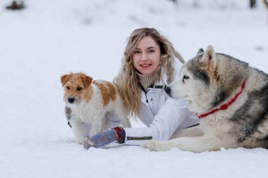Sibirya kurdu tarafından çekilen kızağa binen bir kız. Husky kızak köpekleri Noel 'de olduğu gibi kayak yaparken de kullanılıyor..