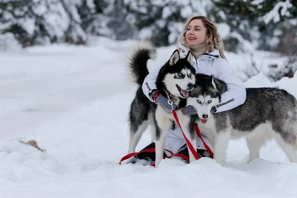 Fille marche avec husky sibérien dans la forêt d'hiver et parc — Photo