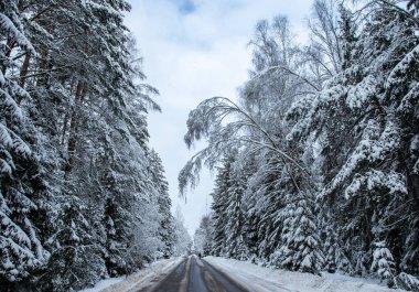 Belarus 'taki Ormanda Soğuk Kış Yolu