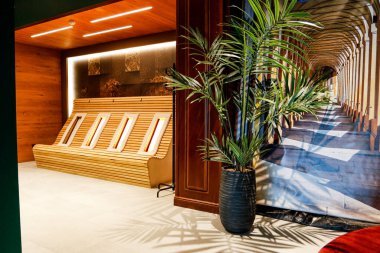 Lüks spa merkezi, yeşil palmiye, güneşli koridor..