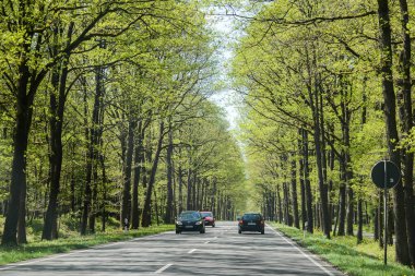 ALMANY - AĞUSTOS 2015: araba penceresinden bak. Yeşil ormanın ortasındaki otoban, yoldaki arabalar.