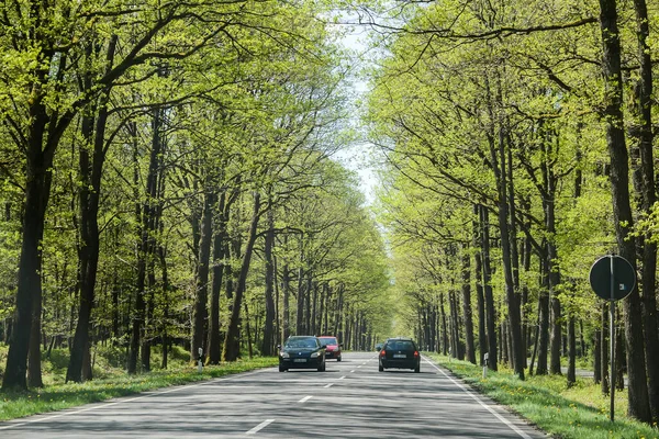 德国- 2015年8月：从车窗观看。高速公路在绿林中，汽车在路上. — 图库照片