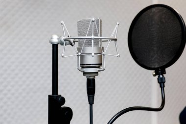 Işık duvarının arka planında profesyonel bir mikrofon. Profesyonel kayıt için stüdyo mikrofonu. Ses kayıt stüdyosu.