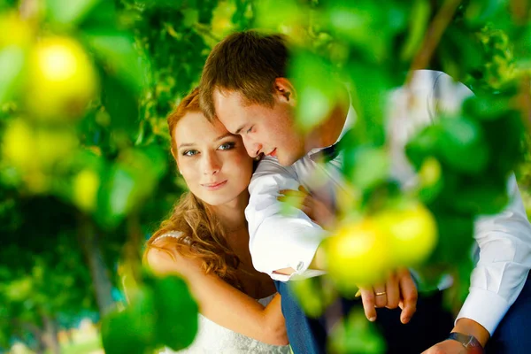 Mooie pasgetrouwden knuffelen en glimlachen in een groene tuin met bomen. Roodharige mooie vrouw in een witte jurk, een man in een wit shirt, een zwarte strik. — Stockfoto