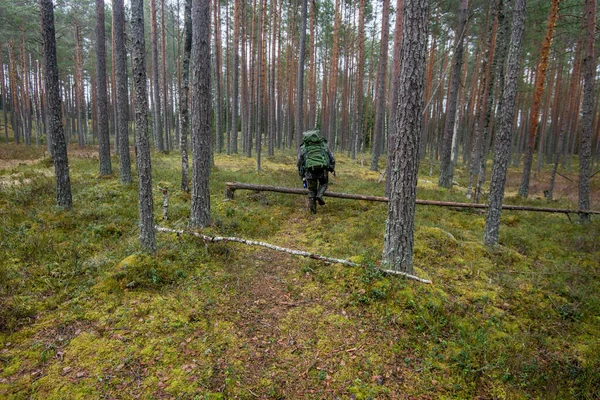 Homme avec un sac à dos marche à travers la forêt verte. — Photo