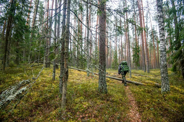 Człowiek z plecakiem spaceruje po zielonym lesie.. — Zdjęcie stockowe