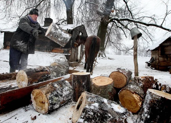 Bielorrússia. Village Small Volneyki - 28,11,2010: Homem na floresta está colocando madeira em um carrinho puxado a cavalo. — Fotografia de Stock