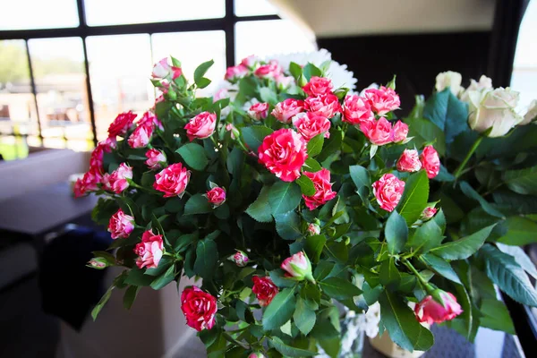 Malé růžové keře růže ve váze naproti oknu. — Stock fotografie