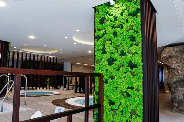 Decoración de diseño con plantas verdes en el fondo de la piscina en el centro de spa de lujo. — Foto de Stock