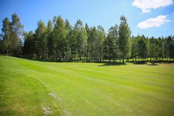 Campo verde sobre el fondo del bosque y el cielo azul —  Fotos de Stock