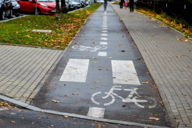 Bialystok. Polonya - 20.10.2014: Sonbahar yapraklarında bisiklet yolu. Bisiklet yolu yağmurdan ıslanmış..
