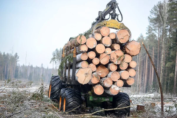Bělorusko - 02.02.2015 - Nákladní automobil naložený v zimě stromy v lese na sněhové foyer. — Stock fotografie