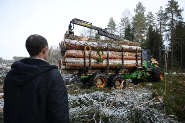 Bělorusko - 02.02.2015 - Nákladní automobil naložený v zimě stromy v lese na sněhové foyer. — Stock fotografie