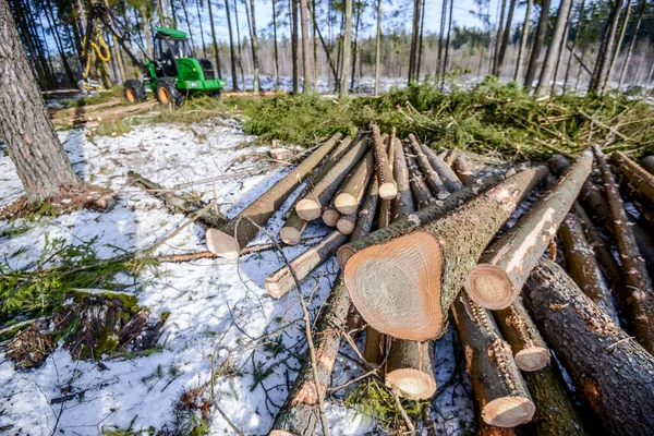 Bělorusko - 02.02.2015 - V lese pracují stroje na těžbu dřeva, výrobu dřeva, pánské práce. Sklizeň v lese. Sklizeň dřeva. Palivové dřevo jako obnovitelný zdroj energie. Zemědělství a — Stock fotografie