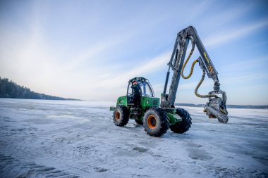 Belarus - 02.02.2015 - Ormanda hasat. Tahta hasatı. Odun yenilenebilir enerji kaynağı olarak kullanılıyor. Tarım ve ormancılık teması.