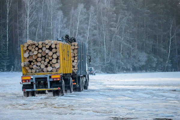 Bělorusko - 02.02.2015 - Nákladní automobil naložený v zimě stromy v lese na sněhové foyer. — Stock fotografie