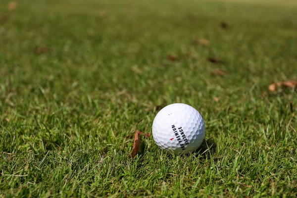 Minsk. Bielorrusia - 25.07.2021 - Pelota de golf sobre hierba verde fondo —  Fotos de Stock