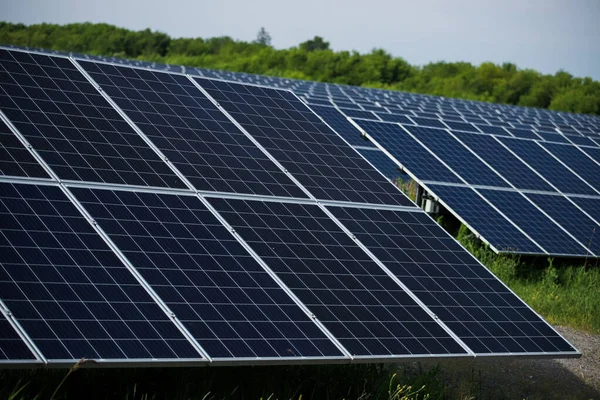 Linhas de painéis solares em um campo — Fotografia de Stock